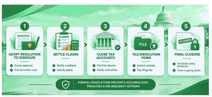 Consequences of Administrative Dissolution in Georgia
